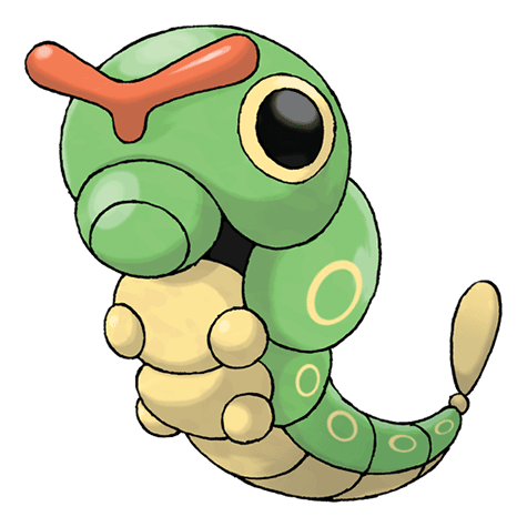 caterpie image