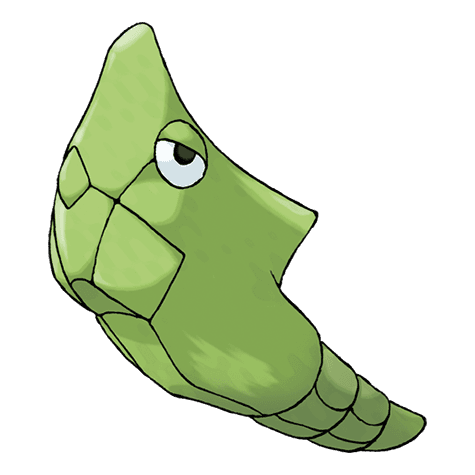 metapod image