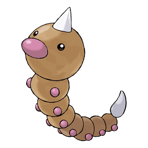 weedle image