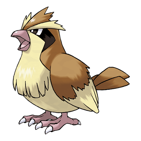 pidgey image