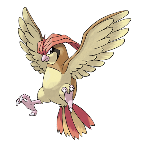 pidgeotto image