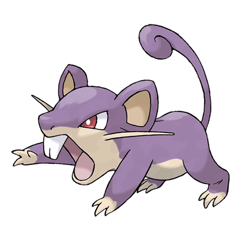 rattata image