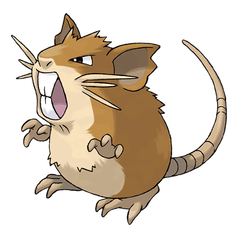 raticate image