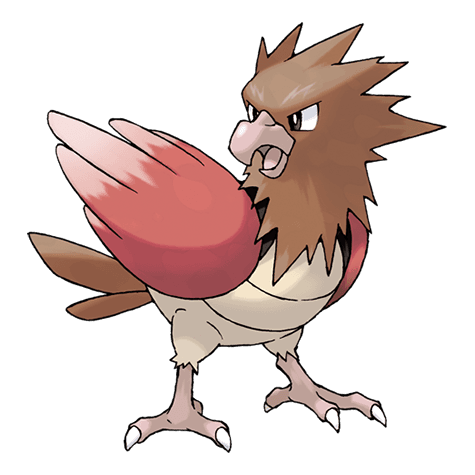 spearow image