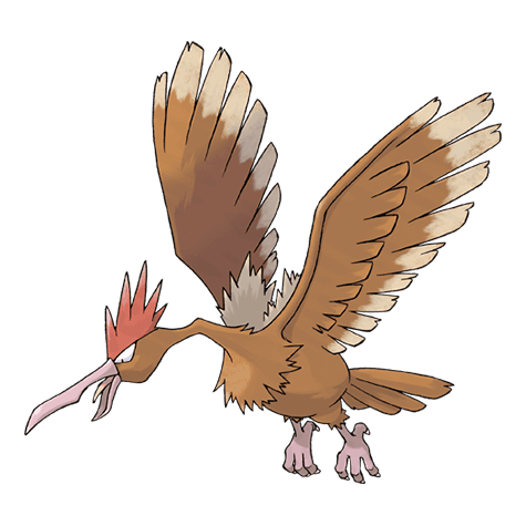 fearow image